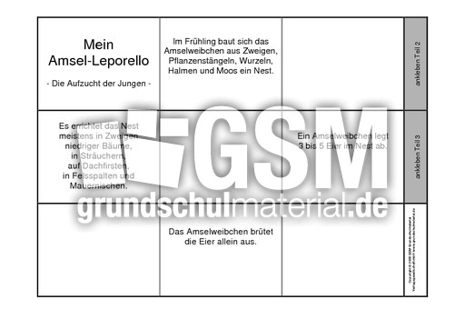 Leporello-Amsel-Aufzucht-ohne-Fotos-1.pdf